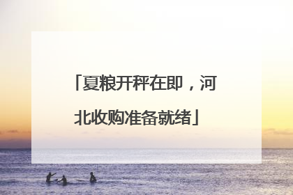 夏粮开秤在即，河北收购准备就绪
