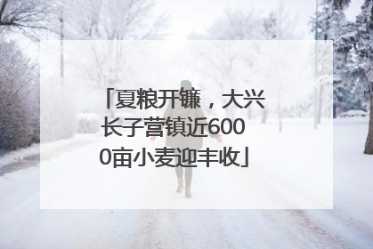 夏粮开镰，大兴长子营镇近6000亩小麦迎丰收
