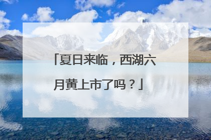 夏日来临，西湖六月黄上市了吗？