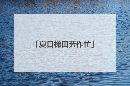 夏日梯田劳作忙