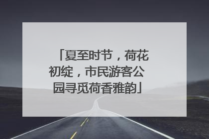 夏至时节，荷花初绽，市民游客公园寻觅荷香雅韵