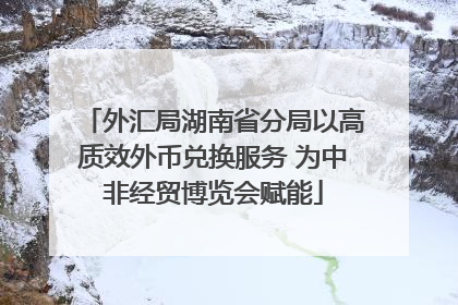 外汇局湖南省分局以高质效外币兑换服务 为中非经贸博览会赋能