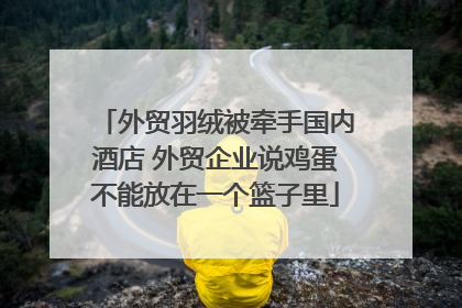 外贸羽绒被牵手国内酒店 外贸企业说鸡蛋不能放在一个篮子里