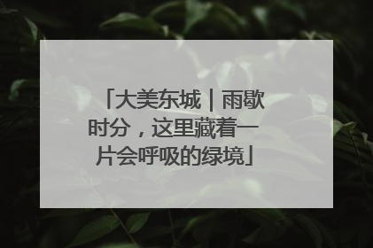 大美东城｜雨歇时分，这里藏着一片会呼吸的绿境