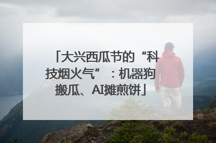大兴西瓜节的“科技烟火气”：机器狗搬瓜、AI摊煎饼