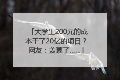 大学生200元的成本干了20亿的项目？网友：羡慕了……