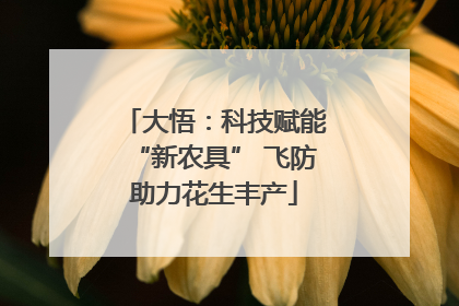 大悟：科技赋能“新农具” 飞防助力花生丰产