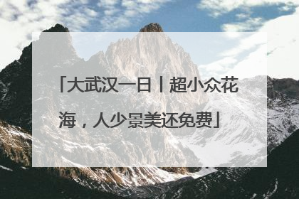 大武汉一日丨超小众花海，人少景美还免费
