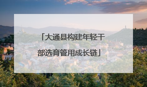 大通县构建年轻干部选育管用成长链