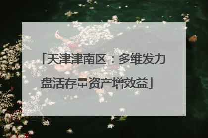 天津津南区：多维发力盘活存量资产增效益