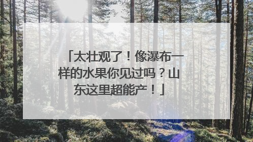 太壮观了！像瀑布一样的水果你见过吗？山东这里超能产！
