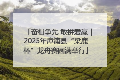奋楫争先 敢拼爱赢｜2025年漳浦县“梁鹿杯”龙舟赛圆满举行