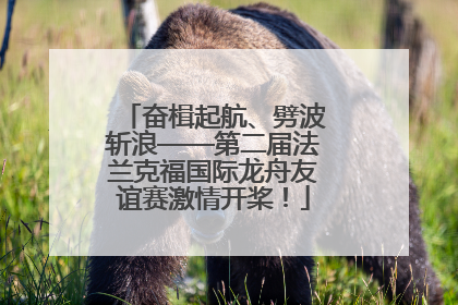 奋楫起航、劈波斩浪——第二届法兰克福国际龙舟友谊赛激情开桨！