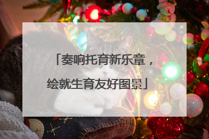 奏响托育新乐章，绘就生育友好图景