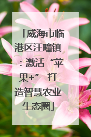 威海市临港区汪疃镇：激活“苹果+” 打造智慧农业生态圈