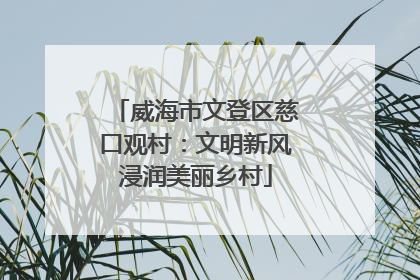 威海市文登区慈口观村：文明新风浸润美丽乡村