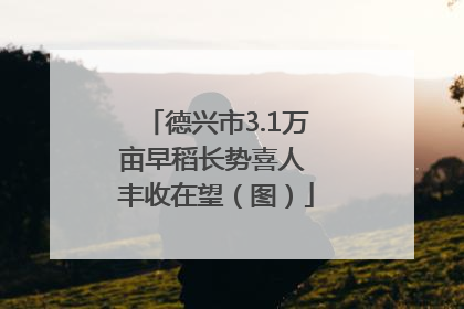 德兴市3.1万亩早稻长势喜人 丰收在望（图）