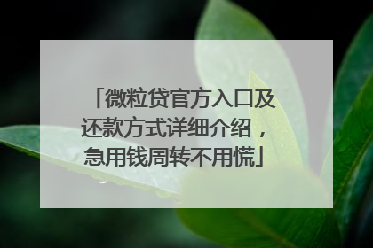 微粒贷官方入口及还款方式详细介绍，急用钱周转不用慌