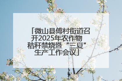 微山县傅村街道召开2025年农作物秸秆禁烧暨“三夏”生产工作会议