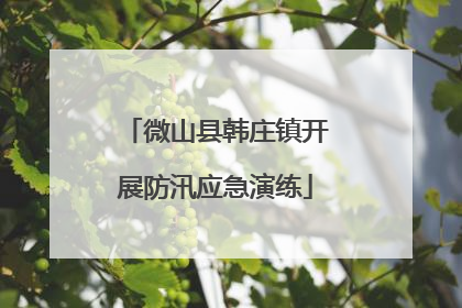 微山县韩庄镇开展防汛应急演练