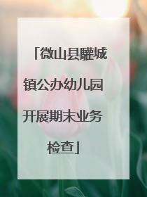 微山县驩城镇公办幼儿园开展期末业务检查