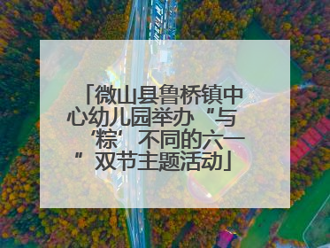 微山县鲁桥镇中心幼儿园举办“与‘粽’不同的六一”双节主题活动