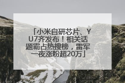 小米自研芯片、YU7齐发布！相关话题霸占热搜榜，雷军一夜涨粉超20万