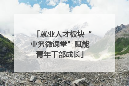 就业人才板块“业务微课堂”赋能青年干部成长