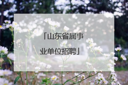 山东省属事业单位招聘