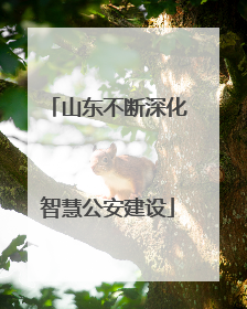 山东不断深化智慧公安建设