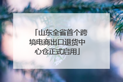 山东全省首个跨境电商出口退货中心仓正式启用
