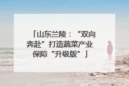山东兰陵：“双向奔赴”打造蔬菜产业保障“升级版”