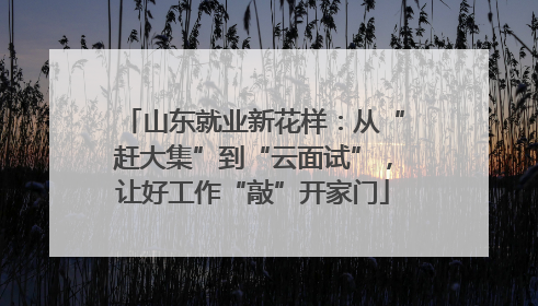 山东就业新花样：从“赶大集”到“云面试”，让好工作“敲”开家门