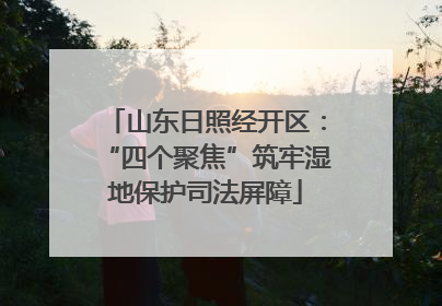 山东日照经开区：“四个聚焦”筑牢湿地保护司法屏障