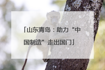 山东青岛：助力“中国制造”走出国门