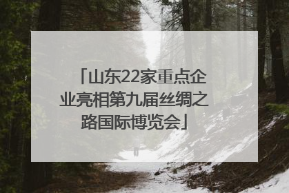 山东22家重点企业亮相第九届丝绸之路国际博览会