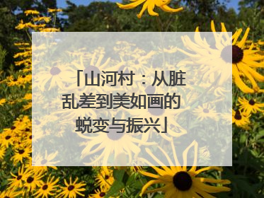 山河村：从脏乱差到美如画的蜕变与振兴