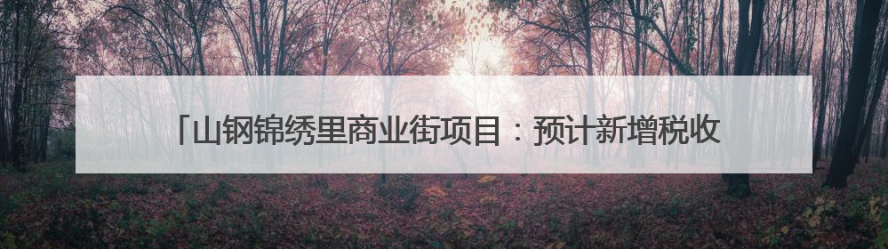 山钢锦绣里商业街项目：预计新增税收700万元，提供就业岗位900余个