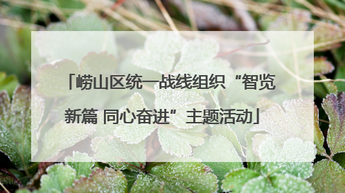 崂山区统一战线组织“智览新篇 同心奋进”主题活动