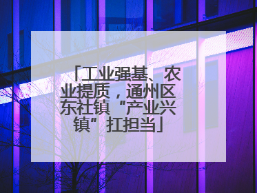 工业强基、农业提质，通州区东社镇“产业兴镇”扛担当