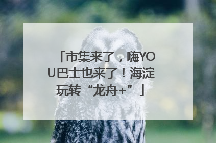 市集来了，嗨YOU巴士也来了！海淀玩转“龙舟+”