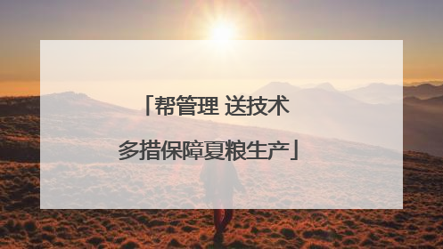 帮管理 送技术 多措保障夏粮生产
