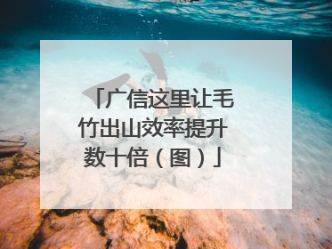 广信这里让毛竹出山效率提升数十倍（图）