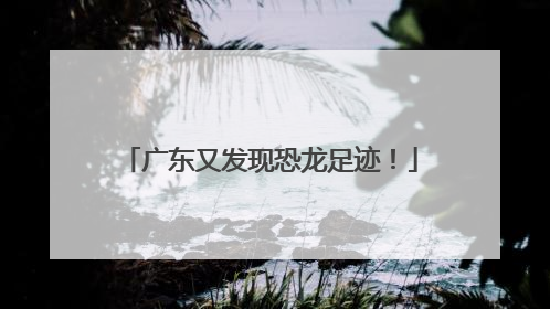 广东又发现恐龙足迹！