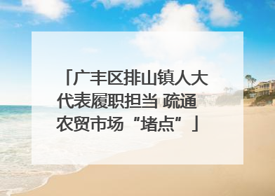 广丰区排山镇人大代表履职担当 疏通农贸市场“堵点”