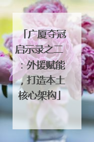 广厦夺冠启示录之二：外援赋能，打造本土核心架构