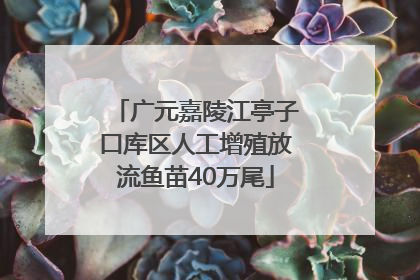 广元嘉陵江亭子口库区人工增殖放流鱼苗40万尾