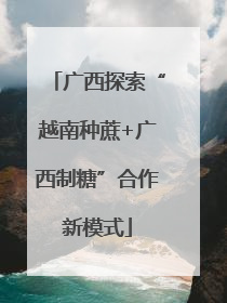 广西探索“越南种蔗+广西制糖”合作新模式
