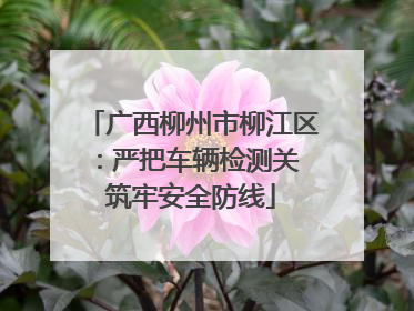 广西柳州市柳江区：严把车辆检测关 筑牢安全防线