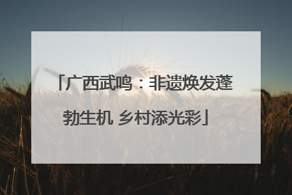 广西武鸣：非遗焕发蓬勃生机 乡村添光彩